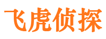 新建市调查公司